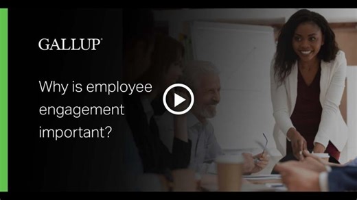 Why is Employee Engagement Important? | Beata van Velzen