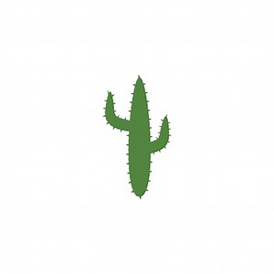 Cactus template vector illustration