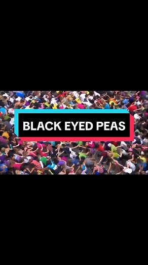 I Gotta Feeling Flash Mob in Chicago by Black Eyed Peas Fans