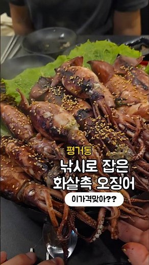 그냥 깔끔하게 메인하나로 승부보는 평거동 술집 !! 낚시로 잡은 화살촉 오징어 !! 39000원 활새우회 35000원#진주맛집 #오징어찜 #진주평거동맛집 #쇼부 #새우회