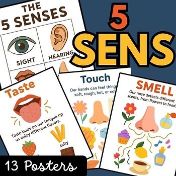 5 Senses Posters | Science Anchor Charts | Visuals for Kindergarten & Grade 1
