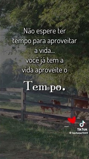 Há uma canção em cada momento, esperando para ser descoberta por quem sabe ouvir