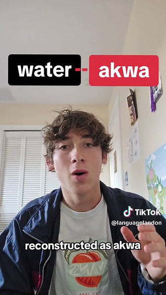 What did the first language sound like? #language #linguistics #history #culture #anthropology #vocabulary #etymology #phonology #phonetics #caveman