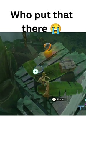 Why was he in there 😭 #botwshorts #zelda #weirdmoments