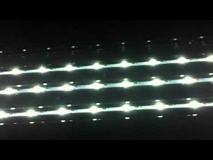 Aqueon Modular LED Aquarium Light review