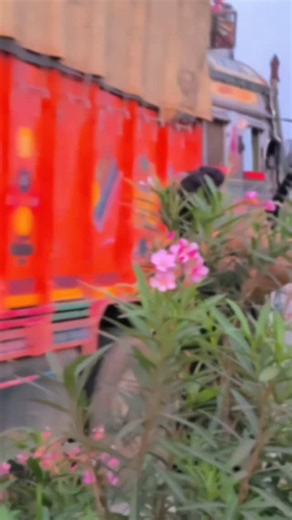 219 reactions | Bewafa se pyar ❤️ . .. .. ... @br_vishuu_ydv | Vishu ydv | Facebook