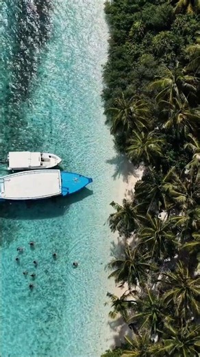 Unforgettable Tropical Island Adventures! 🏝️🌊 | Pure Paradise Experience