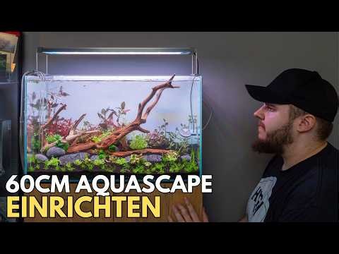 How to properly set up a 60cm Nature Aquarium (not a beginner's mistake!)