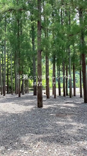 #キャンプ #オートキャンプ場 #谷瀬のつり橋オートキャンプ場 #林間キャンプ