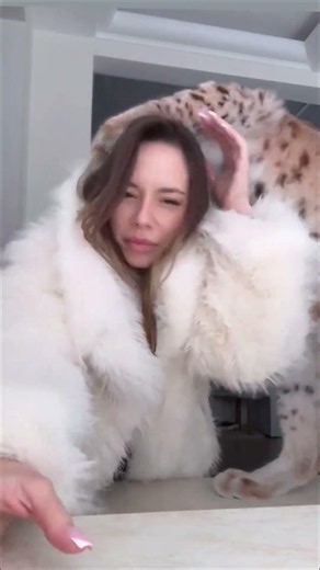 养大猫的快乐你不懂 #谁家小猫还没个绝活了 #它真的好像个小宝宝 #大猫#短尾猫 萌宠 宠物猫 猫vlog日常