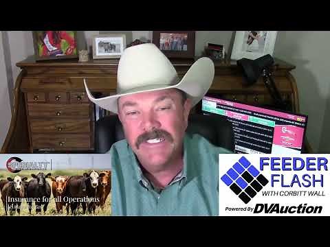 Feeder Flash 11/6: What Are We Afraid Of ?