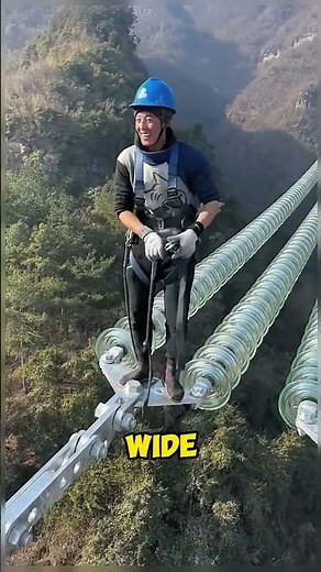 High Voltage Line Worker