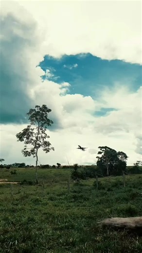 Os vídeos de cezar.praxe2 (@czrpraxedes) com poison tree by grouper - ★