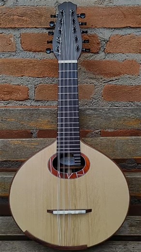 10 strings mandolin Spruce top Brazilian Rosewood back & sides. Rosette and bidings Pernambuco wood #mandolin #bandolim #mandolino #Mandolina #mandolinplayer #bandolimde10cordas | Luthier Regis Bonilha