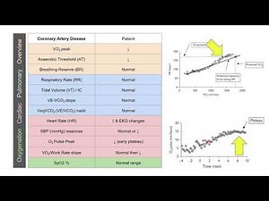 Interpreting Cardiopulmonary Exercise Testing (CPET/CPEX/CPX) and the patterns of major pathologies.