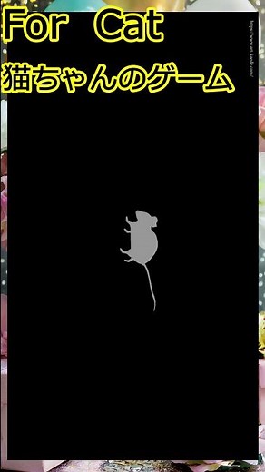 猫が喜ぶ映像 ねずみと遊べる動画のご案内