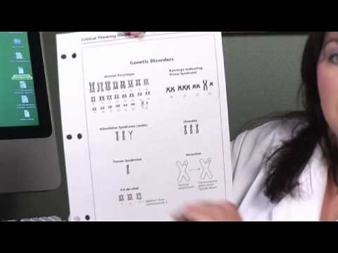 Human Physiology : How Many Chromosomes Does Each Human Cell Have?