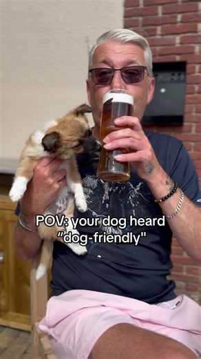 We are dog-friendly. They assume that includes everything 🐶🍺 #UnityHolidays #DogFriendly #DogTok