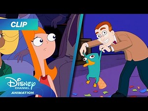 Phineas and Ferb Season 5 | Perry's Secret ALMOST Revealed?! 😱 | ‪@disneychannelanimation‬
