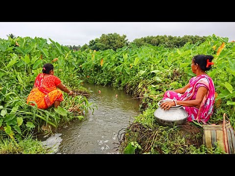 Fishing Video | The traditional village lady's fishing scene will amaze everyone | Best hook fishing