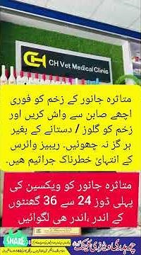 rabies vaccine dose and schedule, rabies in dogs ,anti rabies vaccine,anti rabies inj after dog bite