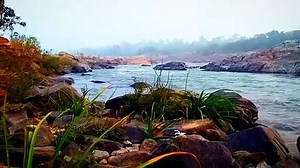 nature-4