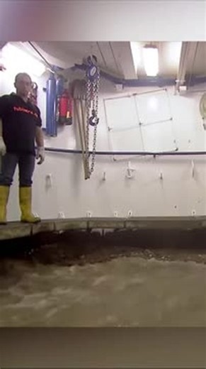 AI.Insider on Instagram: "Thermohaline Circulation: The global ocean conveyor belt where dense, salty water sinks and cold currents migrate—driving 90% of deep-sea movement over centuries-long cycles. Crypto markets have their own invisible currents—where: 🌊 Whale Movements = Deep cold liquidity shaping long-term trends 🌀 Retail FOMO = Surface froth that dissipates quickly 🔮 Narrative Tides = The "salinity" that gives certain coins density Intelligent Cryptocurrency VIP is your bathymetric ch