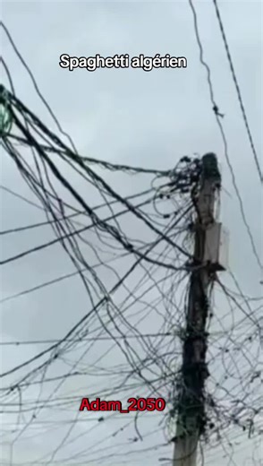 Video's van Adam_2050 (@adam_2050) met origineel geluid - Adam_2050