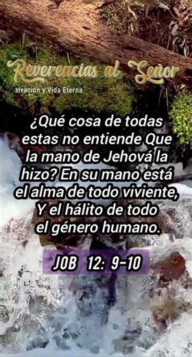 Learn the Bible. Job 12:9-10. #thebible #thewordofgod #learnthebible #god #jesus #faith