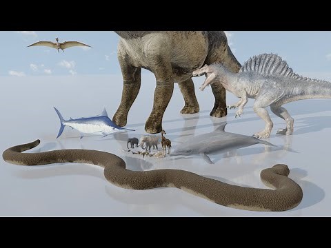 Animals Size Comparison | 3D Animation Comparison 2024 (60 FPS)