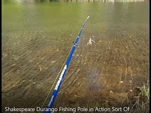 Shakespeare Durango Fishing Pole in Action Sort Of