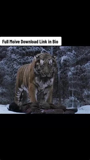 The Tiger: An Old Hunter's Tale - Full Movie Download Link