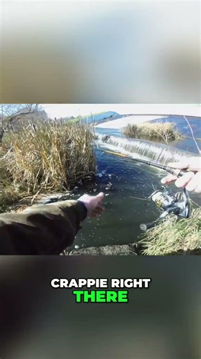 Rage Tail CRUSHES Crappie!
