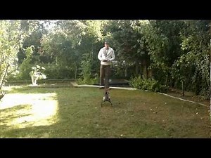 RC Helicopter Tree Trimming 101