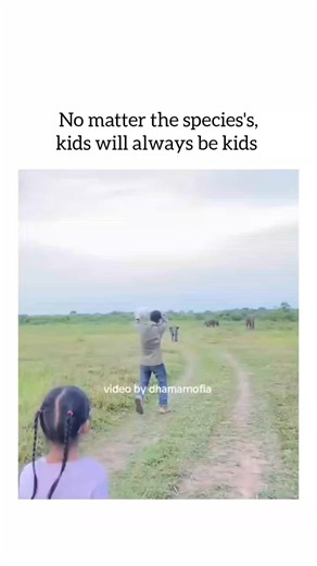 Pubewitty on Instagram: "Elephants are literally built different 😮👇 • An elephant’s trunk has over 40,000 muscles — more than the entire human body 💪 • They can recognize themselves in mirrors, meaning they’re insanely intelligent 🧠 • Elephants mourn their dead and even visit their bones years later 🥺 • They can communicate through vibrations in the ground that other elephants feel miles away 🌍 • Despite their size, elephants can swim long distances using their trunk as a snorkel 🏊‍♂️ • A