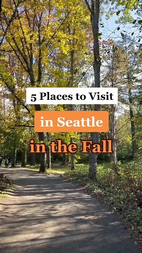 Marissa Pedersen on TikTok