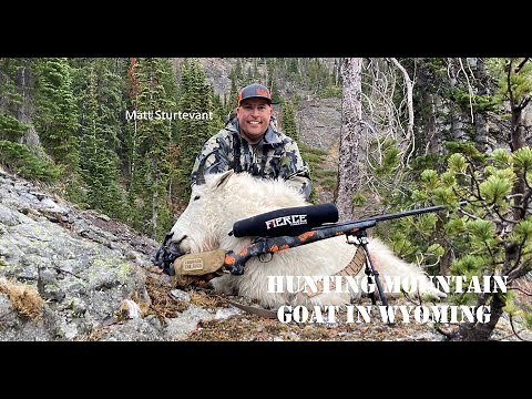 Hunting Mountain Goats in Wyoming, with Matt Sturtevant V334