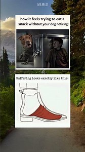 Jurassic park 😂 #memes #daliymemes #funnymemes #funny #dankmemes #funnyimages #amazingmemes #shorts