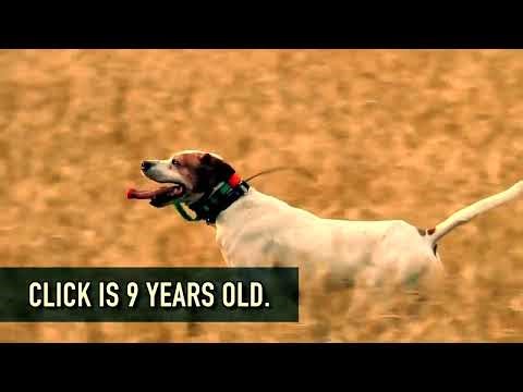 Why You Should CLIP and TETHER Your GPS