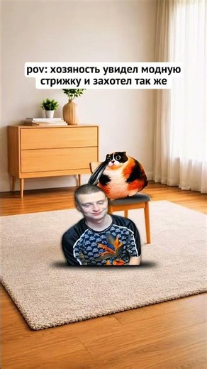 Котость? #кот #мем #прикол #memes