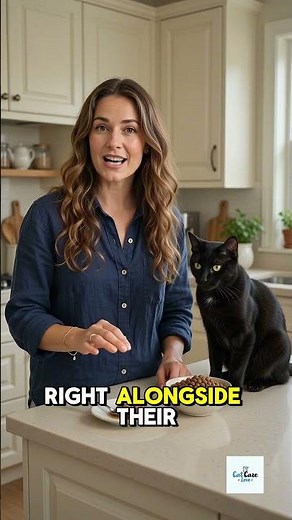 How to Switch Your Cat to Wet Food (Step-by-Step) #catcare #pets #cathealth