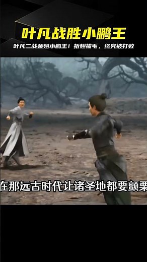 遮天后續：葉凡大戰金翅小鵬王！他不僅折斷了他的翅膀，還拔光了他的金毛？太殘暴了！ #玄幻 #小说解析 #斗罗大陆 #遮天 #修炼体系