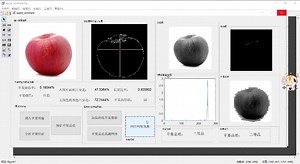 卷积神经网络水果苹果分级系统