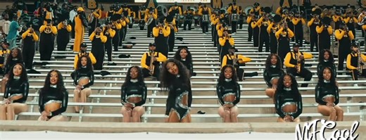 #majorette #fyp #explorepage✨ #stingettes #hbcudance with the short season she had. @briannamonshai put on show that we will never forget. I wish she had a longer season because she showed out every game 🐝🐝🐝🐝