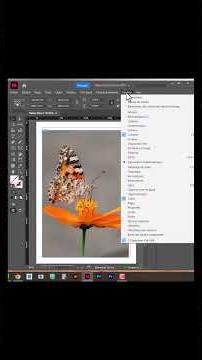 PALETTE ANIMATION SUR INDESIGN
