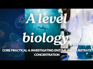 A Level Biology Edexcel A: Topic 2: CORE PRACTICAL 4: Investigate enzyme substrate concentration