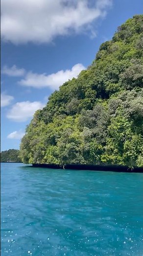 🇵🇼 Palau Rock Island Cruise Episode 117 #visitpalau #travel #islandparadise #explore