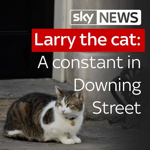 Prime ministers come and go, elections are won and lost and Cabinets get reshuffled, but Larry the cat is a constant in Downing Street | Sky News