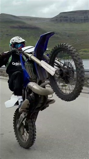 YZ 250 wheelie