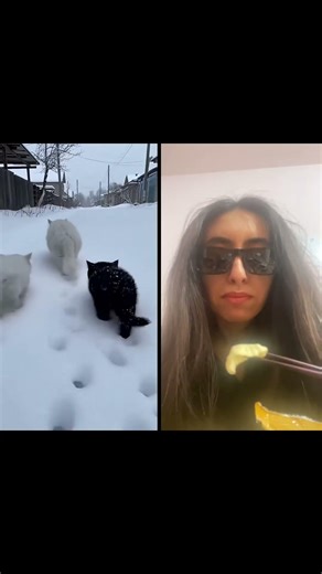 Subscribe for 7 Years Good Luck 🍀😊 #kindness #viral